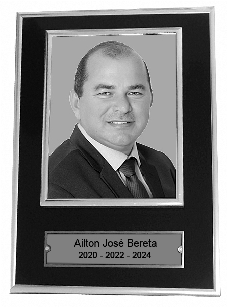 Ailton José Bereta